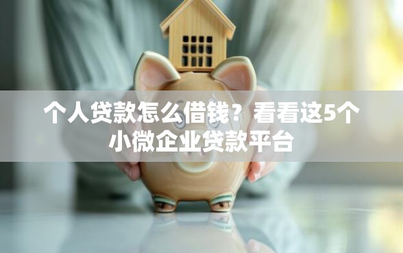 个人贷款怎么借钱？看看这5个小微企业贷款平台