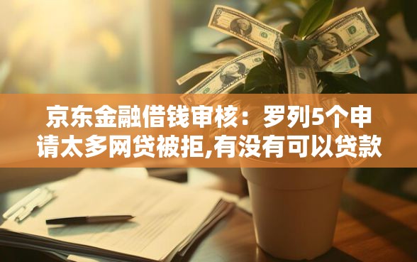 京东金融借钱审核：罗列5个申请太多网贷被拒,有没有可以贷款的平台