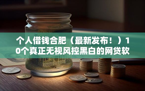 个人借钱合肥（最新发布！）10个真正无视风控黑白的网贷软件