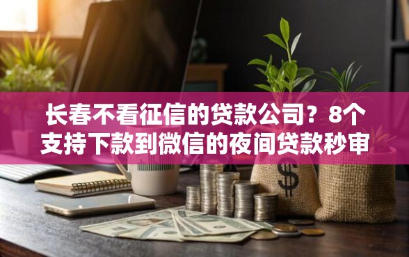 长春不看征信的贷款公司？8个支持下款到微信的夜间贷款秒审核秒下款的平台