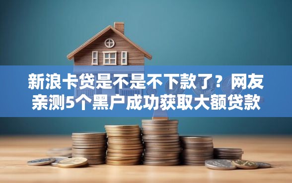 新浪卡贷是不是不下款了？网友亲测5个黑户成功获取大额贷款的口子盘点
