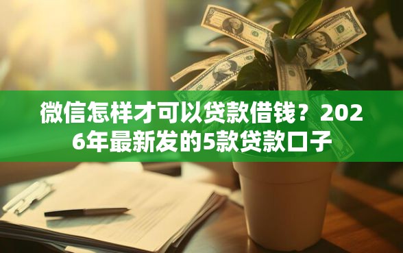微信怎样才可以贷款借钱？2026年最新发的5款贷款口子