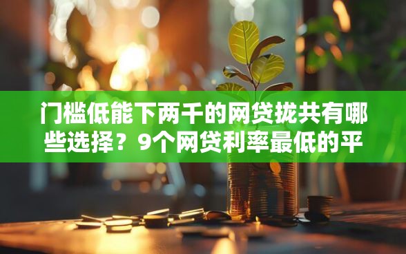 门槛低能下两千的网贷拢共有哪些选择？9个网贷利率最低的平台详解