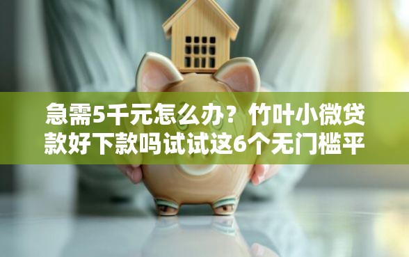 急需5千元怎么办？竹叶小微贷款好下款吗试试这6个无门槛平台