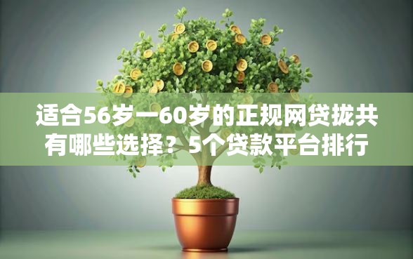适合56岁一60岁的正规网贷拢共有哪些选择？5个贷款平台排行榜详解