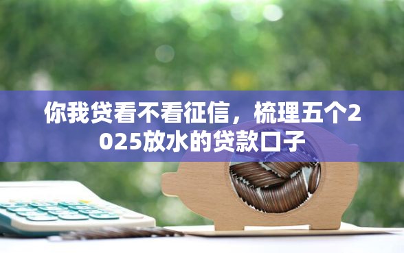你我贷看不看征信，梳理五个2025放水的贷款口子