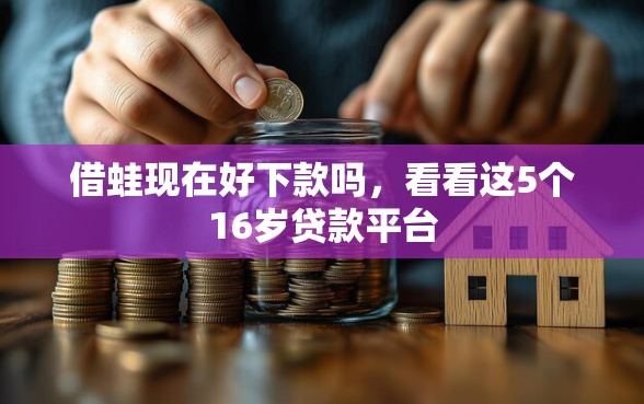 借蛙现在好下款吗，看看这5个16岁贷款平台