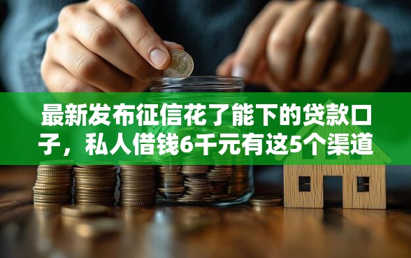 最新发布征信花了能下的贷款口子，私人借钱6千元有这5个渠道