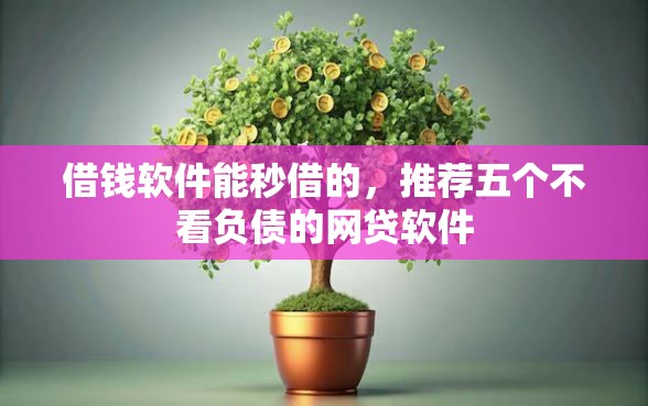 借钱软件能秒借的，推荐五个不看负债的网贷软件