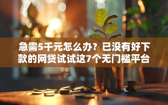 急需5千元怎么办？已没有好下款的网贷试试这7个无门槛平台