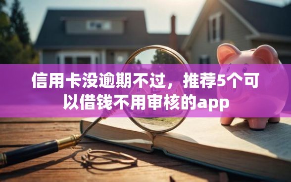 信用卡没逾期不过，推荐5个可以借钱不用审核的app