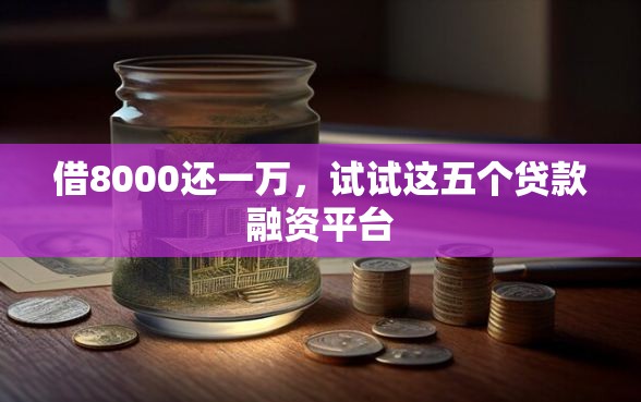 借8000还一万，试试这五个贷款融资平台