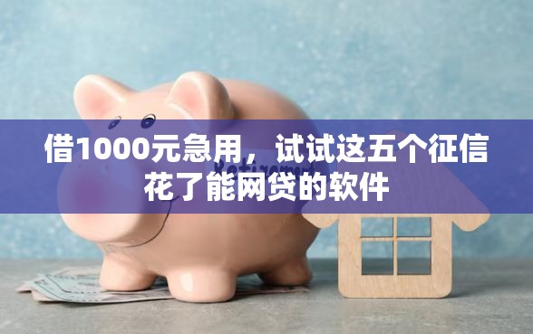 借1000元急用，试试这五个征信花了能网贷的软件