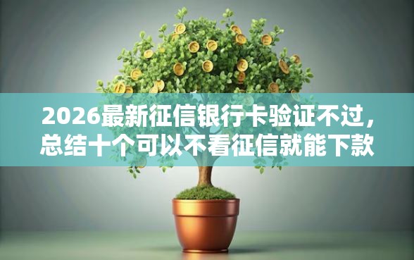2026最新征信银行卡验证不过，总结十个可以不看征信就能下款的平台！