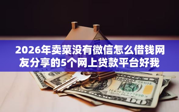 2026年卖菜没有微信怎么借钱网友分享的5个网上贷款平台好我觉得不错！