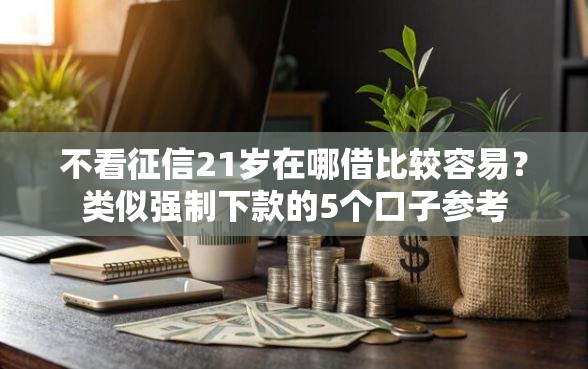 不看征信21岁在哪借比较容易？类似强制下款的5个口子参考