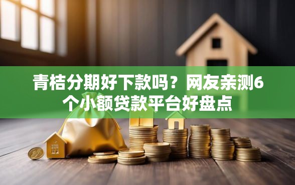 青桔分期好下款吗？网友亲测6个小额贷款平台好盘点