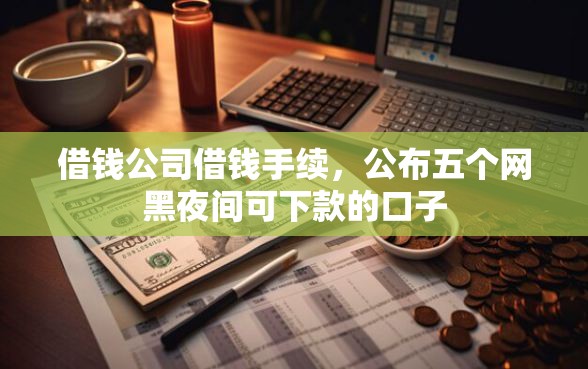 借钱公司借钱手续，公布五个网黑夜间可下款的口子