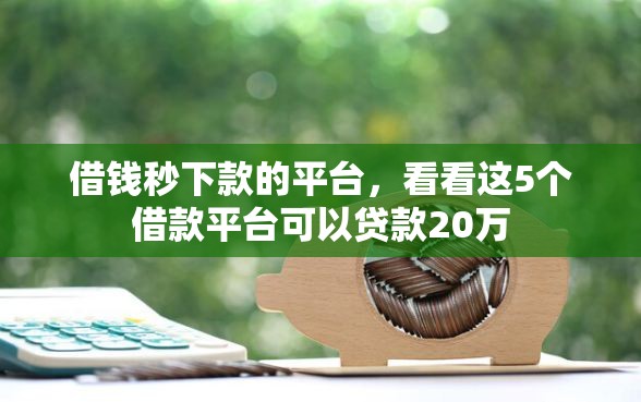借钱秒下款的平台，看看这5个借款平台可以贷款20万