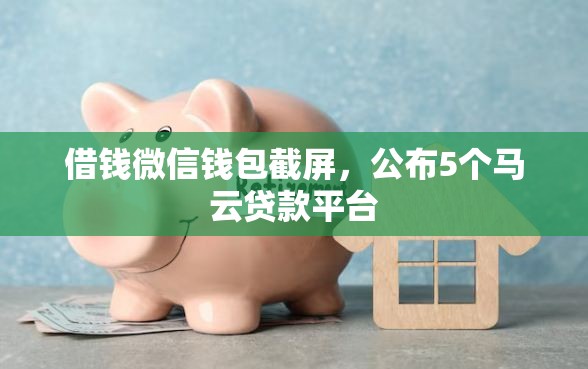 借钱微信钱包截屏，公布5个马云贷款平台