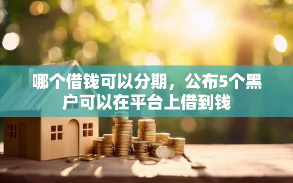 哪个借钱可以分期，公布5个黑户可以在平台上借到钱