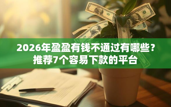 2026年盈盈有钱不通过有哪些？推荐7个容易下款的平台