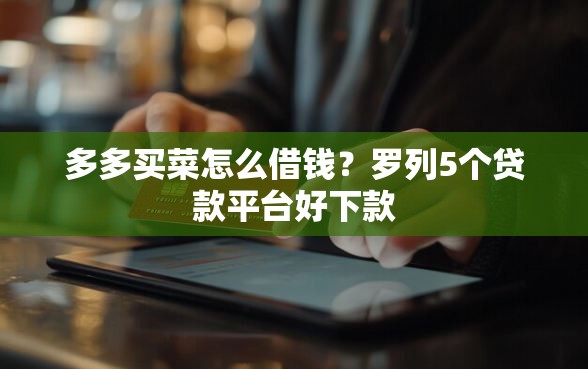 多多买菜怎么借钱？罗列5个贷款平台好下款