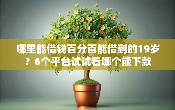 哪里能借钱百分百能借到的19岁？6个平台试试看哪个能下款