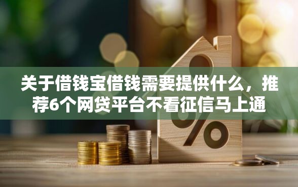 关于借钱宝借钱需要提供什么，推荐6个网贷平台不看征信马上通过的给你