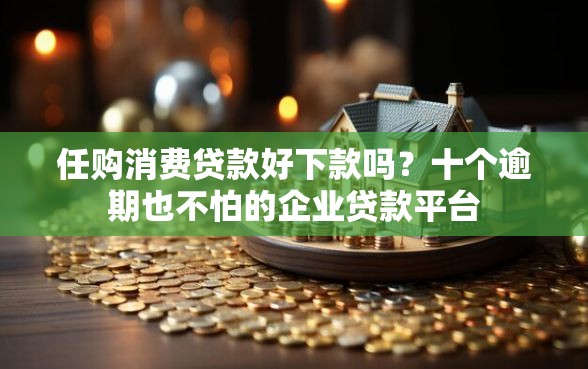 任购消费贷款好下款吗？十个逾期也不怕的企业贷款平台