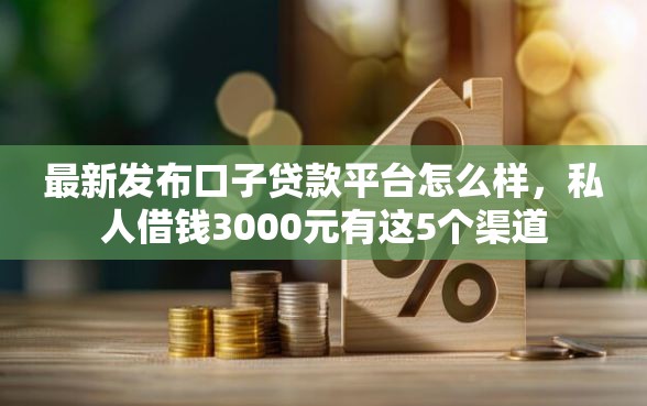 最新发布口子贷款平台怎么样，私人借钱3000元有这5个渠道