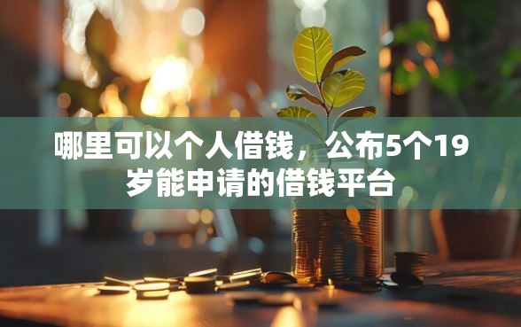 哪里可以个人借钱，公布5个19岁能申请的借钱平台