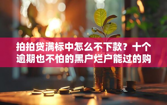 拍拍贷满标中怎么不下款？十个逾期也不怕的黑户烂户能过的购物平台