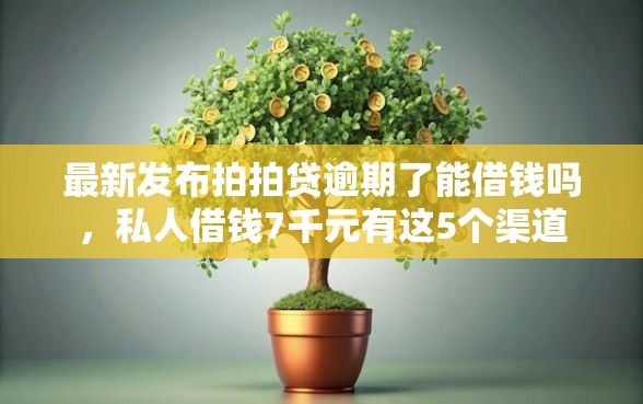 最新发布拍拍贷逾期了能借钱吗，私人借钱7千元有这5个渠道