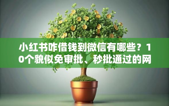小红书咋借钱到微信有哪些？10个貌似免审批、秒批通过的网贷软件合集