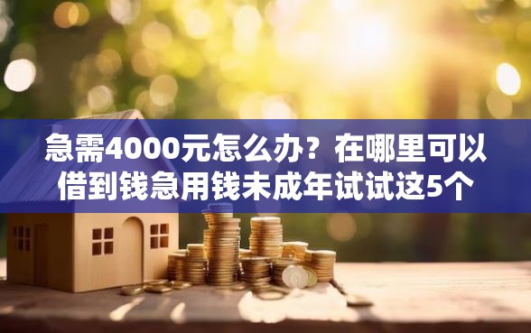 急需4000元怎么办?在哪里可以借到钱急用钱未成年试试这5个无门槛平台 急需4000元怎么办?在哪里可以借到钱急用钱未成年试试这5个无门槛平台
