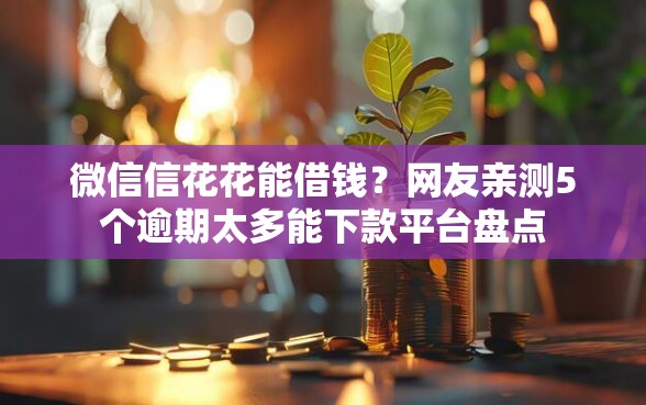 微信信花花能借钱？网友亲测5个逾期太多能下款平台盘点
