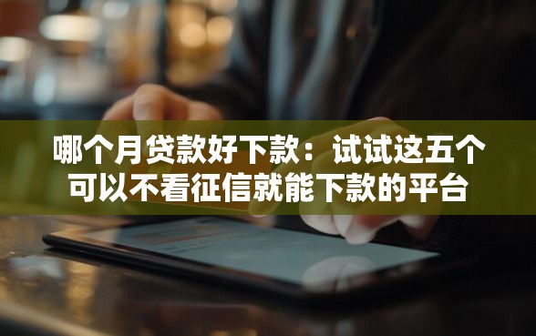 哪个月贷款好下款：试试这五个可以不看征信就能下款的平台