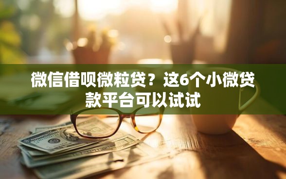 微信借呗微粒贷？这6个小微贷款平台可以试试
