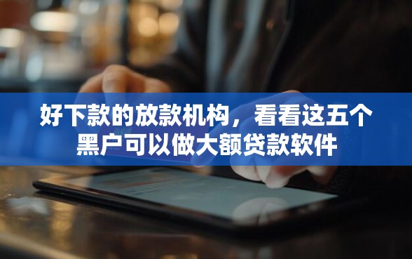 好下款的放款机构，看看这五个黑户可以做大额贷款软件