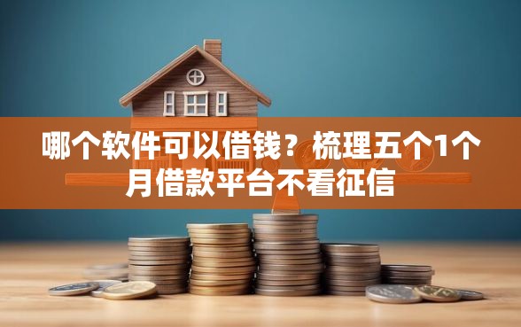 哪个软件可以借钱？梳理五个1个月借款平台不看征信
