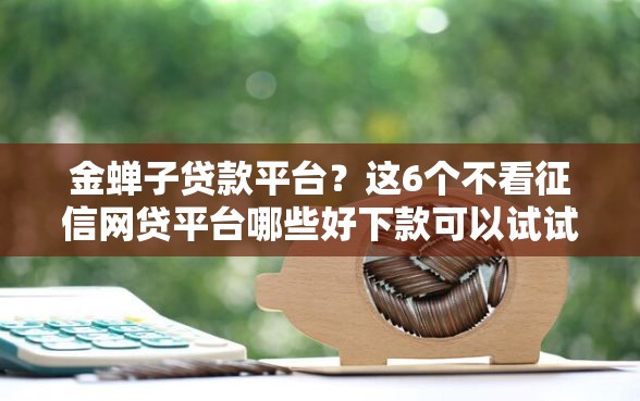 金蝉子贷款平台？这6个不看征信网贷平台哪些好下款可以试试