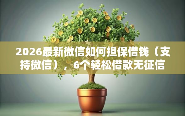 2026最新微信如何担保借钱（支持微信），6个轻松借款无征信记录的口子无私分享
