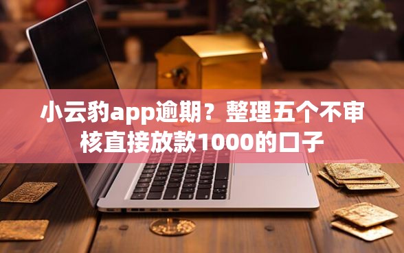 小云豹app逾期？整理五个不审核直接放款1000的口子