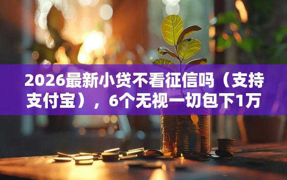 2026最新小贷不看征信吗（支持支付宝），6个无视一切包下1万的贷款无私分享