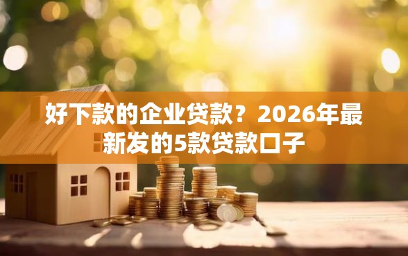 好下款的企业贷款？2026年最新发的5款贷款口子