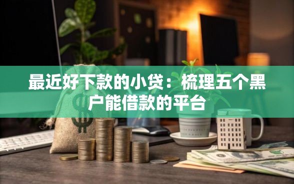 最近好下款的小贷：梳理五个黑户能借款的平台