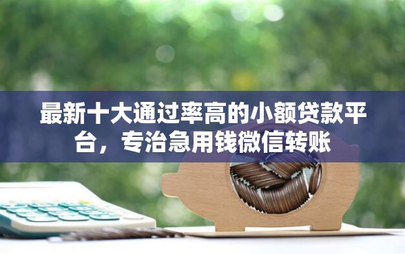 最新十大通过率高的小额贷款平台，专治急用钱微信转账