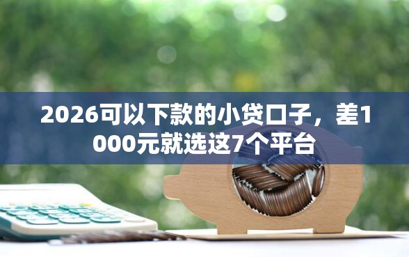 2026可以下款的小贷口子，差1000元就选这7个平台