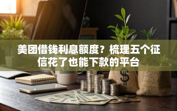 美团借钱利息额度？梳理五个征信花了也能下款的平台